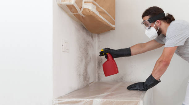 Professional Basement Mold Removal technician working in Washington, NJ